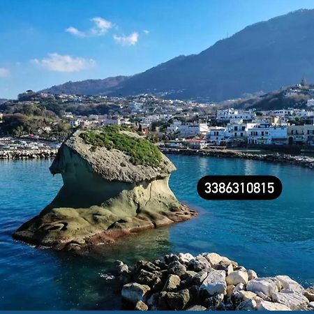 Zaras 11 Apartman Lacco Ameno  Kültér fotó