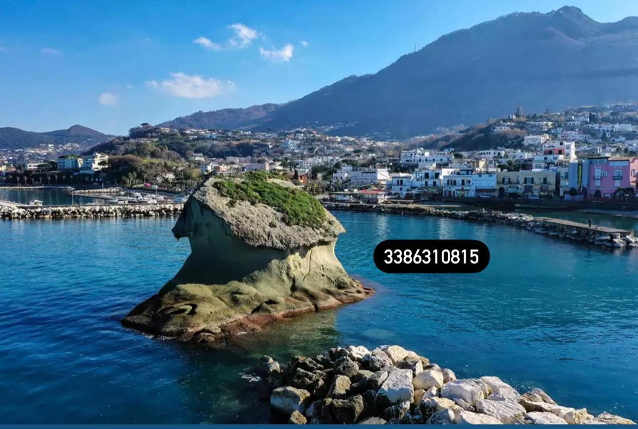 Zaras 11 Apartman Lacco Ameno  Kültér fotó